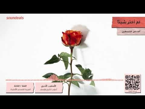 لم اختر شيئًا | لكِنّي أسعى | بودكاست بصوت نسائي من فلسطين