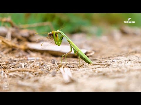 Tour du Valat - Green List -