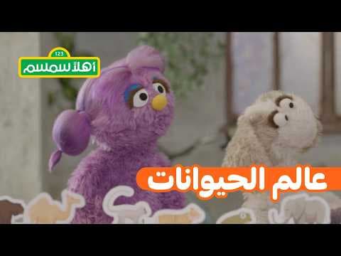 أهلًا سمسم: درس الحيوانات
